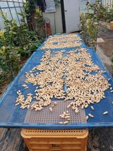 팜모닝 · 게시글 이미지