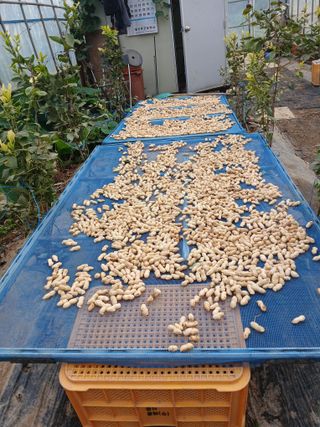 안승호님의 작성글 사진