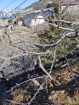 김용대님의 자유주제·자유게시판 작성글 사진