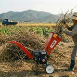 팜모닝 · 게시글 이미지
