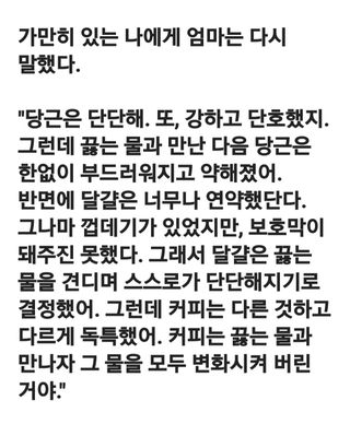 (팽나무*공주)님의 자유주제 · 자유게시판 작성글 사진