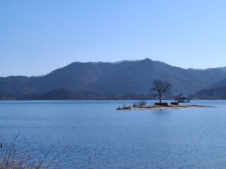 MSG0074님의 자유주제 · 자유게시판 작성글 사진