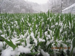 농민님의 자유주제 · 자유게시판 작성글 사진