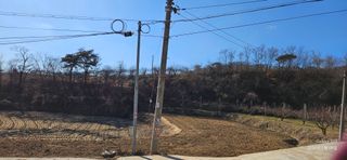 김상욱님의 자유주제 · 자유게시판 작성글 사진