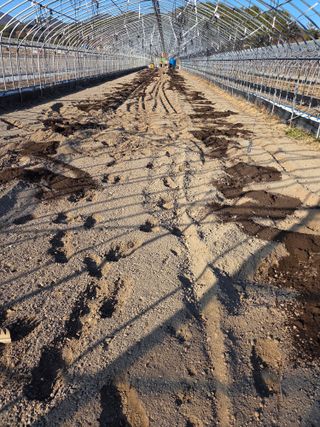 노고단님의 자유주제 · 자유게시판 작성글 사진