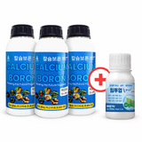 팜모닝 · 게시글 이미지