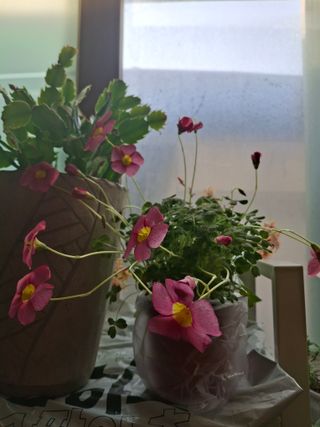 신여사님의 자유주제 · 자유게시판 작성글 사진