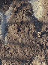 노고단님의 자유주제·자유게시판 작성글 사진