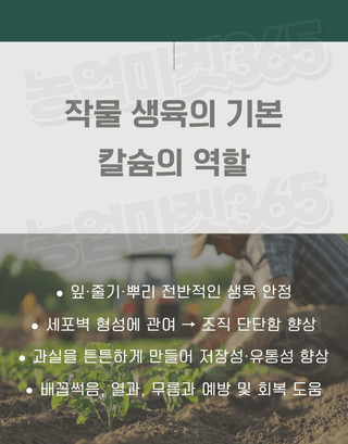 농업마켓365님의 작성글 사진