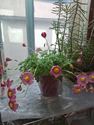 신여사님의 자유주제 · 자유게시판 작성글 사진