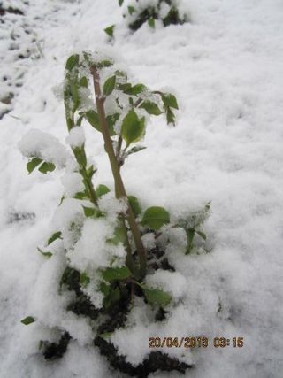 농민님의 자유주제 · 자유게시판 작성글 사진