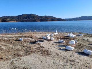 MSG0074님의 자유주제 · 자유게시판 작성글 사진