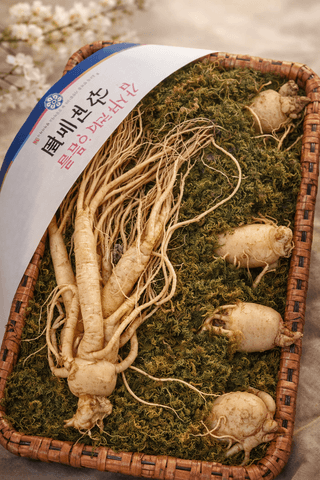 모두팜님의 작성글 사진