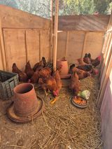 팜모닝 · 게시글 이미지