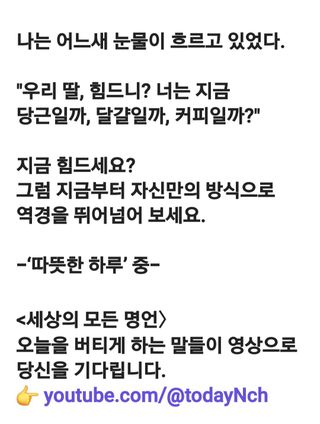 (팽나무*공주)님의 자유주제 · 자유게시판 작성글 사진