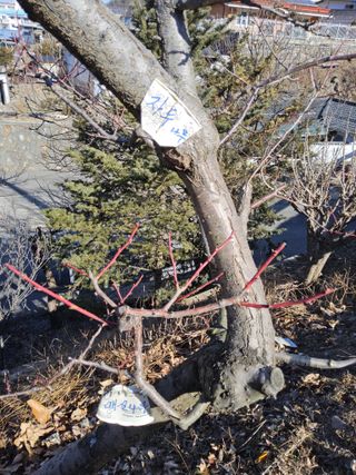 김용대님의 자유주제 · 자유게시판 작성글 사진