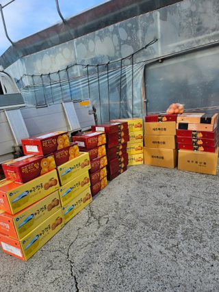 제주 지안이네농장님의 자유주제 · 자유게시판 작성글 사진