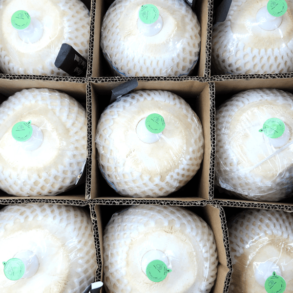 장터 상품 [베트남 프리미엄 자연 그대로 생 코코넛 2입/4입/9입] 썸네일