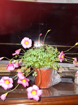 신여사님의 자유주제 · 자유게시판 작성글 사진