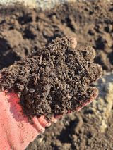 노고단님의 자유주제·자유게시판 작성글 사진