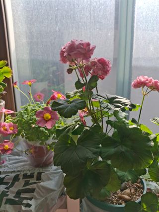 신여사님의 자유주제 · 자유게시판 작성글 사진