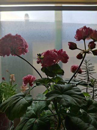 신여사님의 자유주제 · 자유게시판 작성글 사진