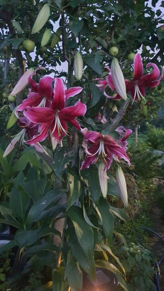 오다가다님의 작성글 사진