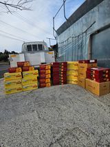 팜모닝 자유주제·자유게시판 게시글 이미지