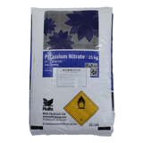 팜모닝 · 게시글 이미지