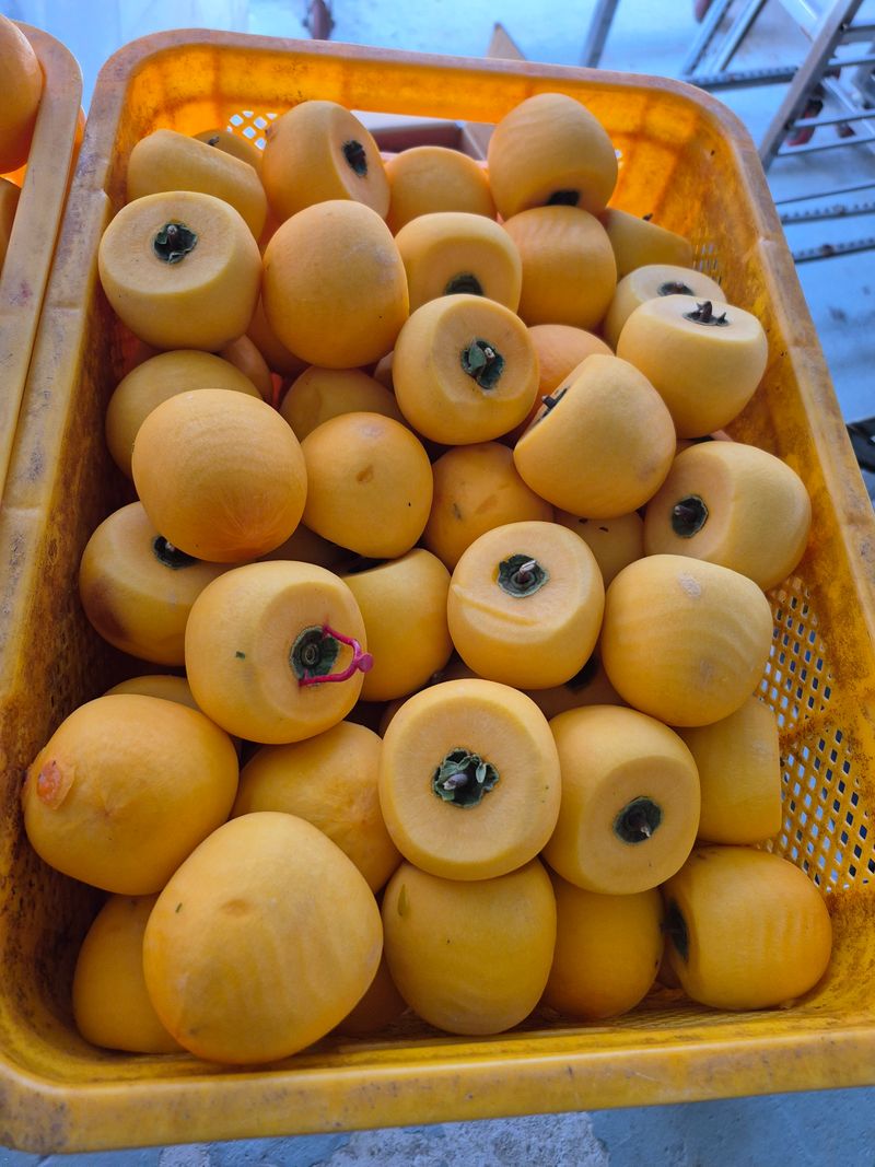 폭포 쌍암님의 장터 판매 상품 [건조곶감 2kq] 첨부 사진