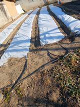 팜모닝 자유주제·자유게시판 게시글 이미지