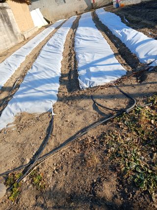 이영자 님의 자유주제 · 자유게시판 작성글 사진