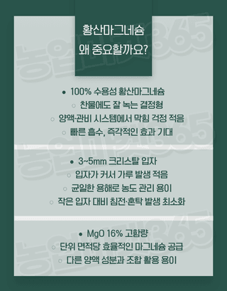 농업마켓365님의 작성글 사진