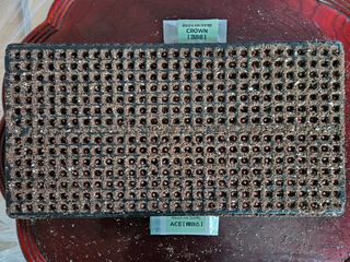 전봉우(채미농원)님의 자유주제 · 자유게시판 작성글 사진