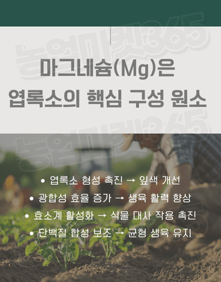 농업마켓365님의 작성글 사진