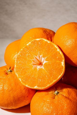 제주부자팜님의 자유주제 · 자유게시판 작성글 사진