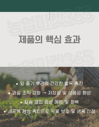 농업마켓365님의 작성글 사진