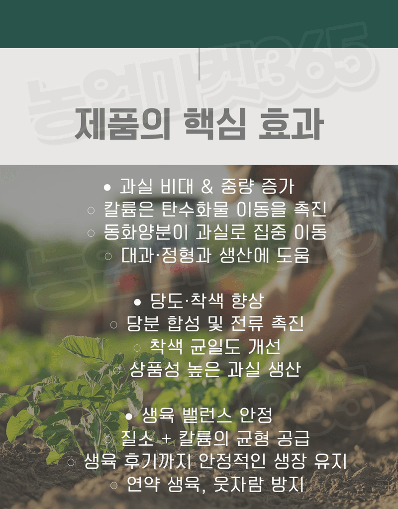 농업마켓365님의 장터 판매 상품 [질산칼륨 (분상) 25kg 크리스탈 고순도 고농도 칼륨비료 관비 양액 전용] 첨부 사진