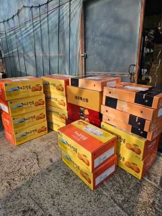 제주 지안이네농장님의 자유주제 · 자유게시판 작성글 사진