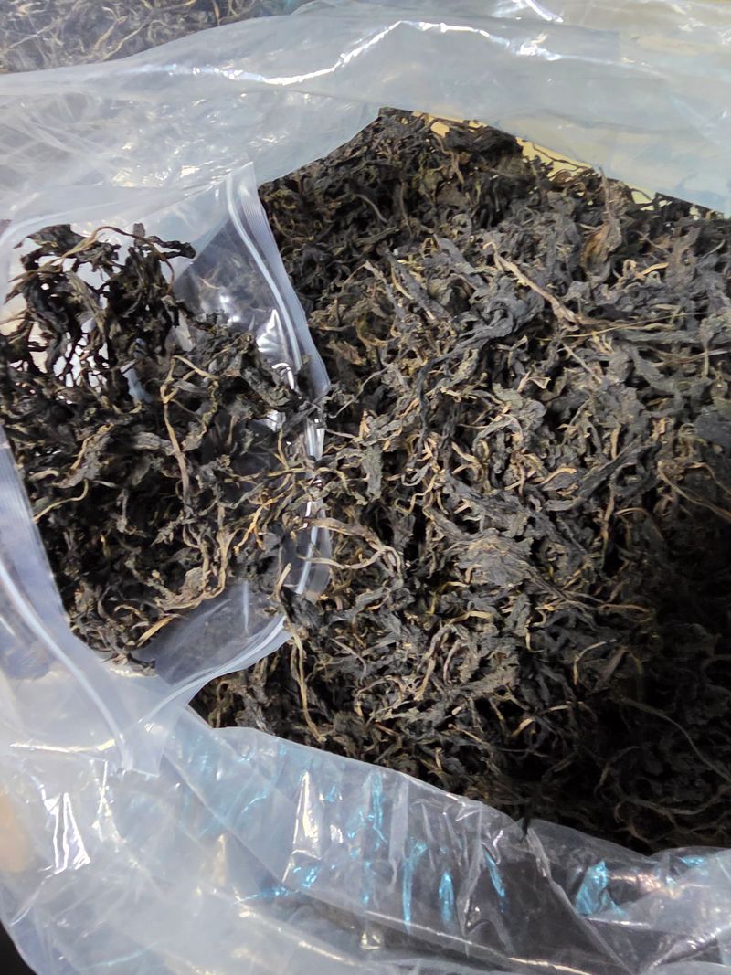 윤미선(농경채인증님의 장터 판매 상품 [건 곤드레나물 1봉] 첨부 사진