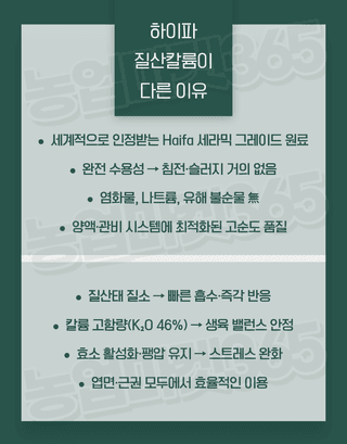 농업마켓365님의 작성글 사진