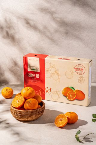 제주부자팜님의 자유주제 · 자유게시판 작성글 사진