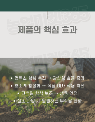 농업마켓365님의 작성글 사진