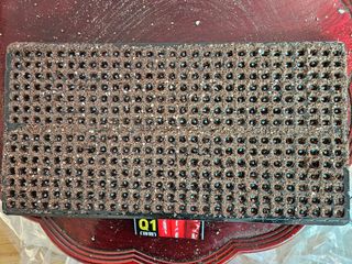 전봉우(채미농원)님의 자유주제 · 자유게시판 작성글 사진