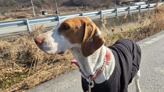 제키님의 자유주제 · 자유게시판 작성글 사진