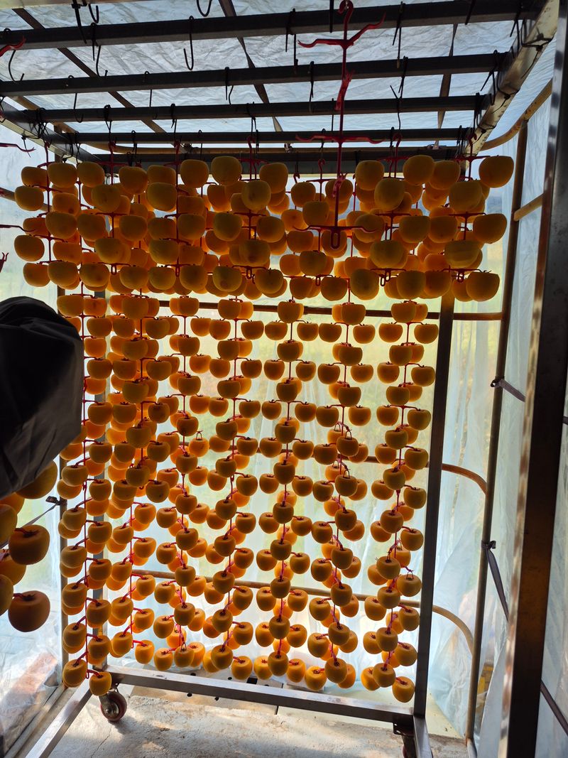 폭포 쌍암님의 장터 판매 상품 [건조곶감 2kq] 첨부 사진