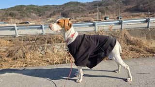 제키님의 자유주제 · 자유게시판 작성글 사진