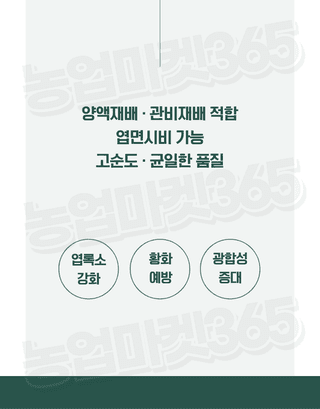 농업마켓365님의 작성글 사진