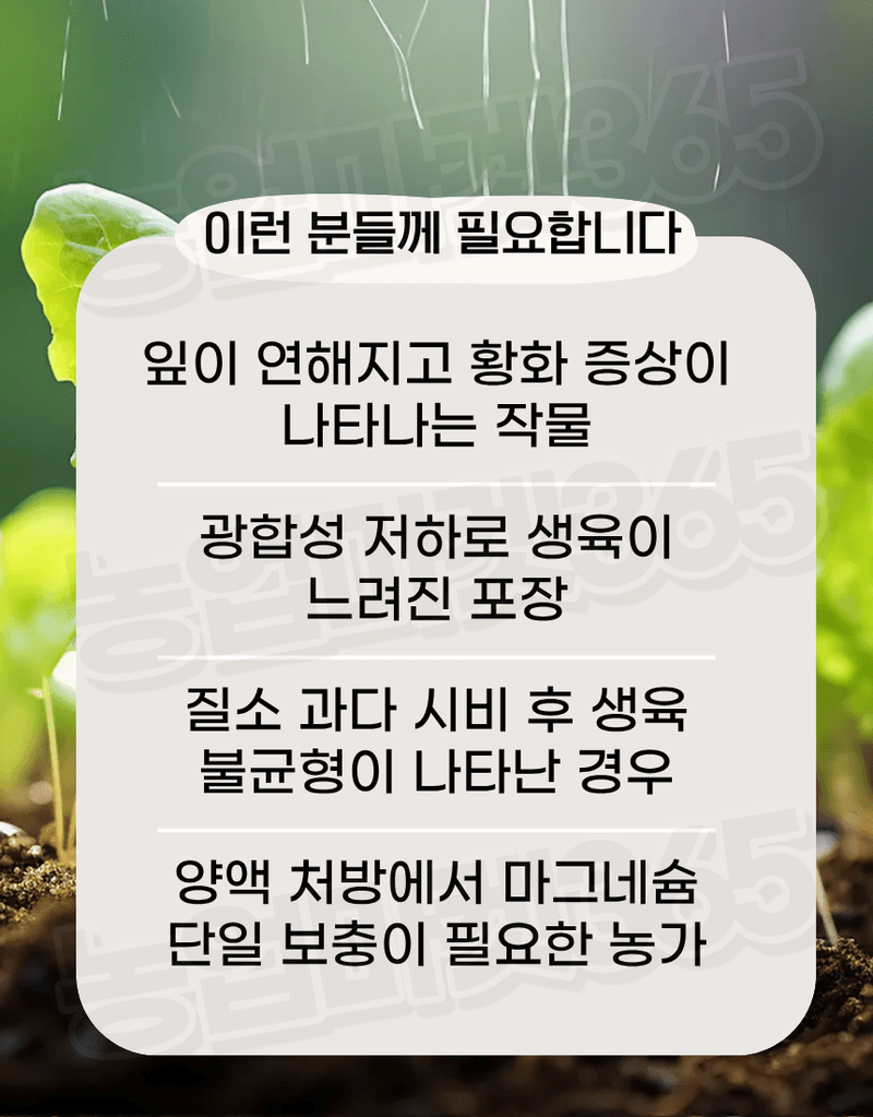 농업마켓365님의 장터 판매 상품 [수용성 양액용 황산마그네슘 7수염 크리스탈 25kg 황화예방 마그네슘비료] 첨부 사진