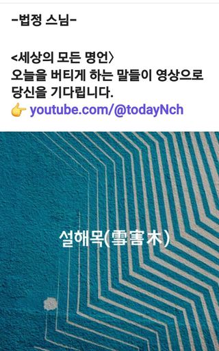 (팽나무*공주)님의 자유주제 · 자유게시판 작성글 사진